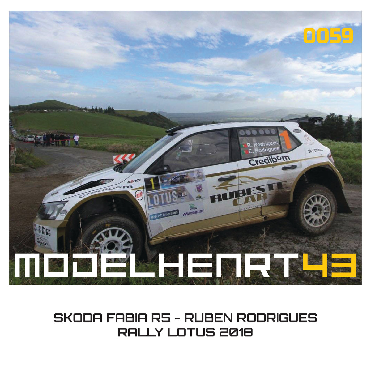 DECALQUE - SKODA FABIA R5 - 1/43