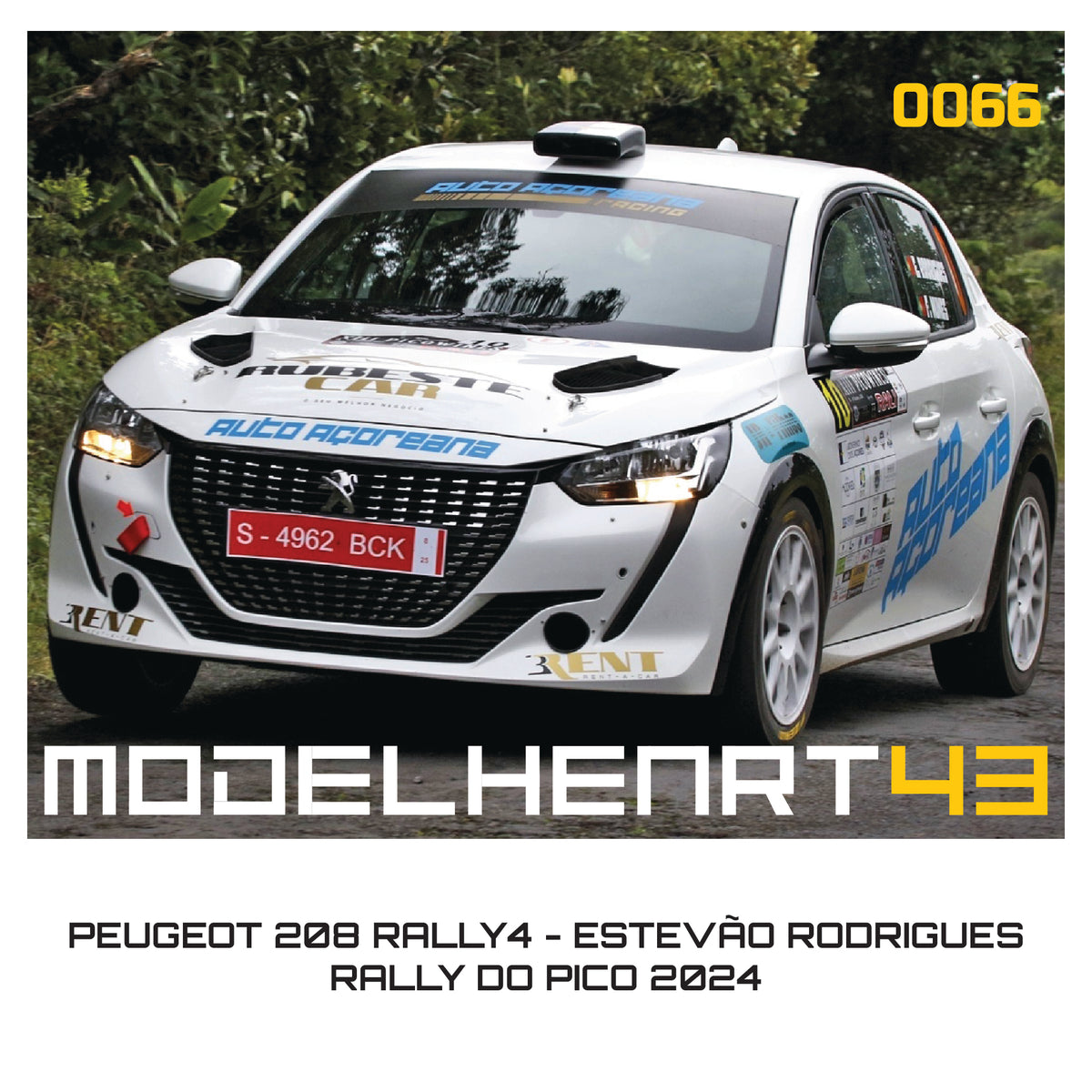 DECALQUE - PEUGEOT 208 RALLY4 - 1/43