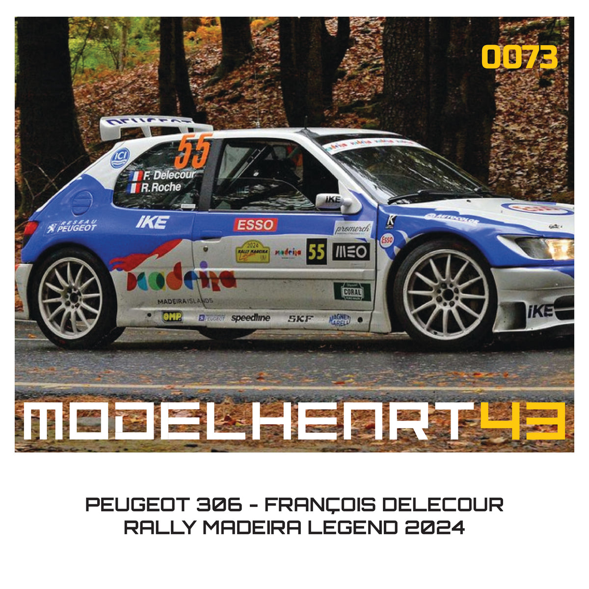 DECALQUE - PEUGEOT 306 - 1/43
